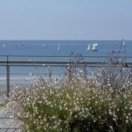 Studio-mezzanine Agreable A 150m De La Plage, Quartier Arago, Balcon-terrasse, Animaux Acceptes - Fr-1-92-566 Appartement Les Sables-dʼOlonne
