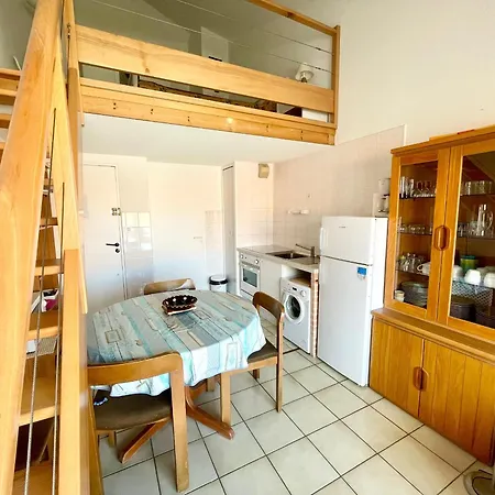 Studio-mezzanine Agreable A 150m De La Plage, Quartier Arago, Balcon-terrasse, Animaux Acceptes - Fr-1-92-566 Appartement *